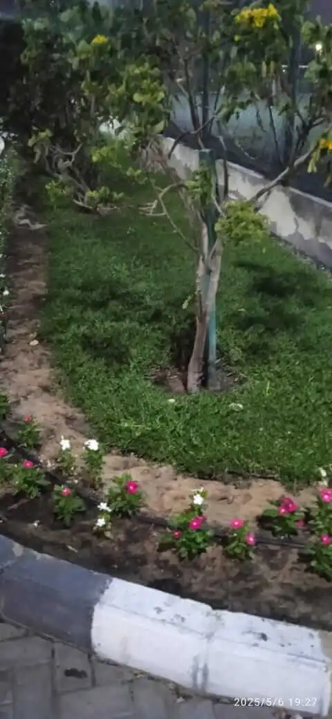 Indoor Plant Services in Dubai