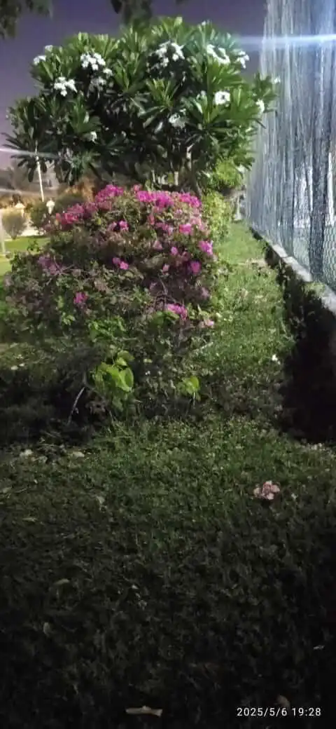 Stone Landscaping in Dubai